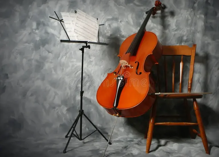 Concert Violon-Violoncelle